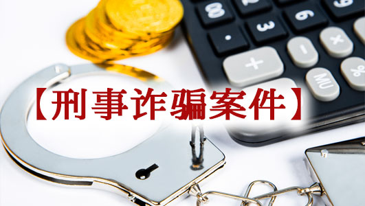 銀雷刑事案件